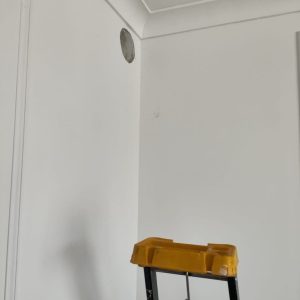 1 (2)